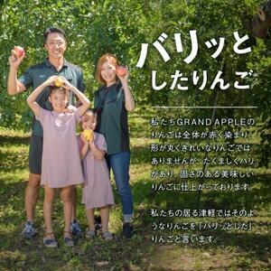 産地直送　葉とらずサンふじ　訳あり　約2kg_果物・フルーツ りんご  リンゴ 林檎_【配送不可地域：離島・沖縄県】【1516074】