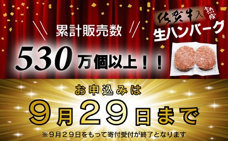 FM032_【最長半年待ちの大人気】佐賀牛入り熟成生ハンバーグ20個＋2個【期間限定】