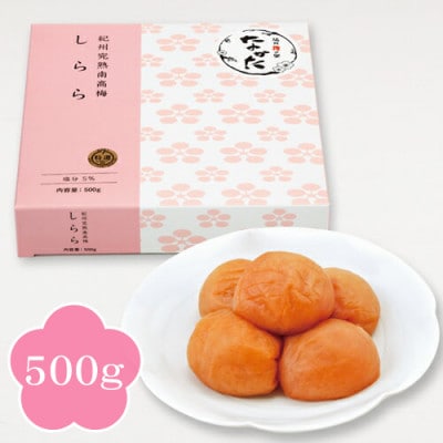 【紀州産南高梅】しらら 500g