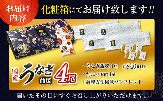 ［2026年8月お届け］特大 うなぎ 鰻楽 国産 蒲焼 4尾 無頭 計840g以上 期間限定 数量限定【C388-840-08】
