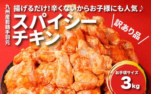 
                  【スピード発送】【2週間以内発送】訳あり 九州産若鶏手羽元 揚げるだけスパイシーチキン3kg  K16_0085_2S
                