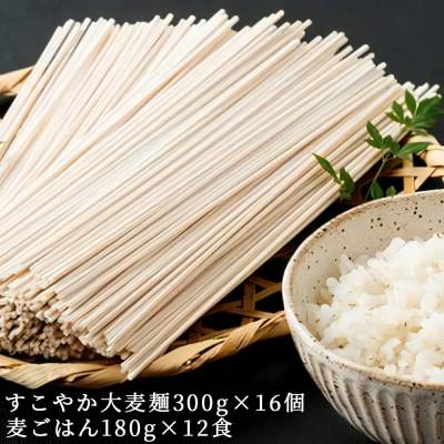 ふるさと納税 伊勢原市 濱田の大麦セット 美味しく食べて健康増進 大麦麺  麦ごはんセット [0137]