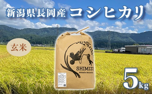
            N5-G051新潟県長岡産コシヒカリ玄米5kg
          