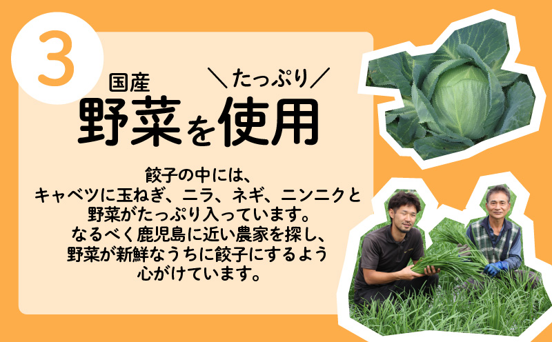 ちゃこばあちゃんの黒豚入りうんまか生餃子　96個入り　K027-002