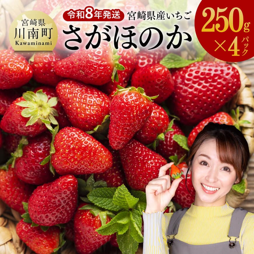 【令和8年発送】　宮崎県産いちご　「さがほのか」250ｇ×4パック 先行予約 期間限定 果物 イチゴ 苺 フルーツ