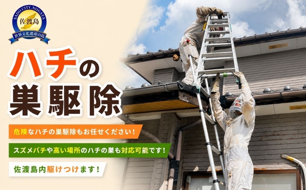 
                  【佐渡市 ハチの巣駆除 30,000円分】スズメバチ・高所対応 佐渡島内 アイマーク環境 | 佐渡 ハチの巣駆除 蜂の巣駆除 はちの巣 スズメバチ 蜂 ハチ 害虫駆除 駆除 サービス 役務 空き家 実家 島外在住 にいがた さど 新潟県 佐渡市
                