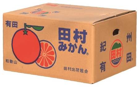 田村みかん みかん 蜜柑 柑橘 果物 フルーツ / 田村みかん 5kg 秀品【小玉サイズ】/紀州和歌山有田郡湯浅町田村地区産 ◆2024年11月下旬～2025年1月下旬頃に発送(お届け日指定不可)　紀