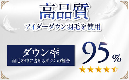 【糸島羽毛ふとん】【アイスランド特別保護鳥使用】【シングル】 羽毛 布団 本掛け ベージュ アイダーダウン95% 糸島市 / 株式会社三樹 / 布団 羽毛[AYM023]