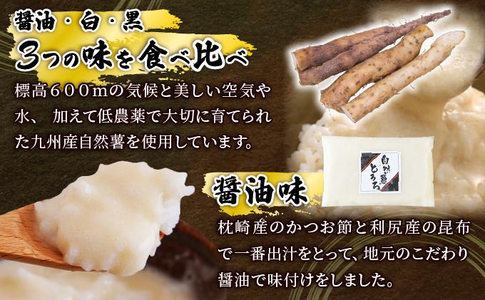＜定期便・全3回＞本格自然薯とろろ 味くらべセット（醤油/白/黒）各3個 計9個|自然薯 小分け じねんじょ とろろ 山芋 やまいも 長芋 ながいも ご飯のお供 おつまみ 酒の肴 山かけ 麦とろ そば