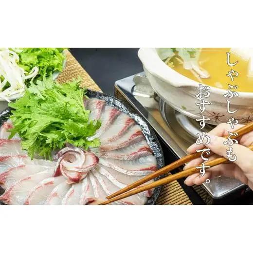 【 カンパチ 】 カンパチ 2節