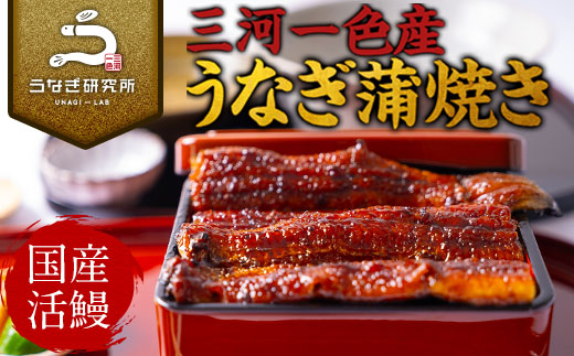 【期間限定】三河一色産うなぎ蒲焼大3尾(計420g以上)・R006-22
