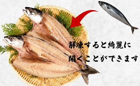 【 スピード配送 】 一汐サバ 4尾 サバ