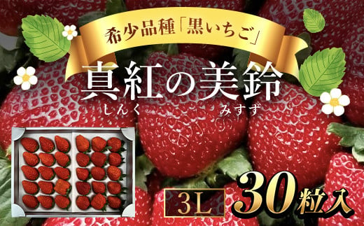 【先行予約/2024年12月配送開始】希少品種 黒いちご 真紅の美鈴 3L30粒入り SMAN002