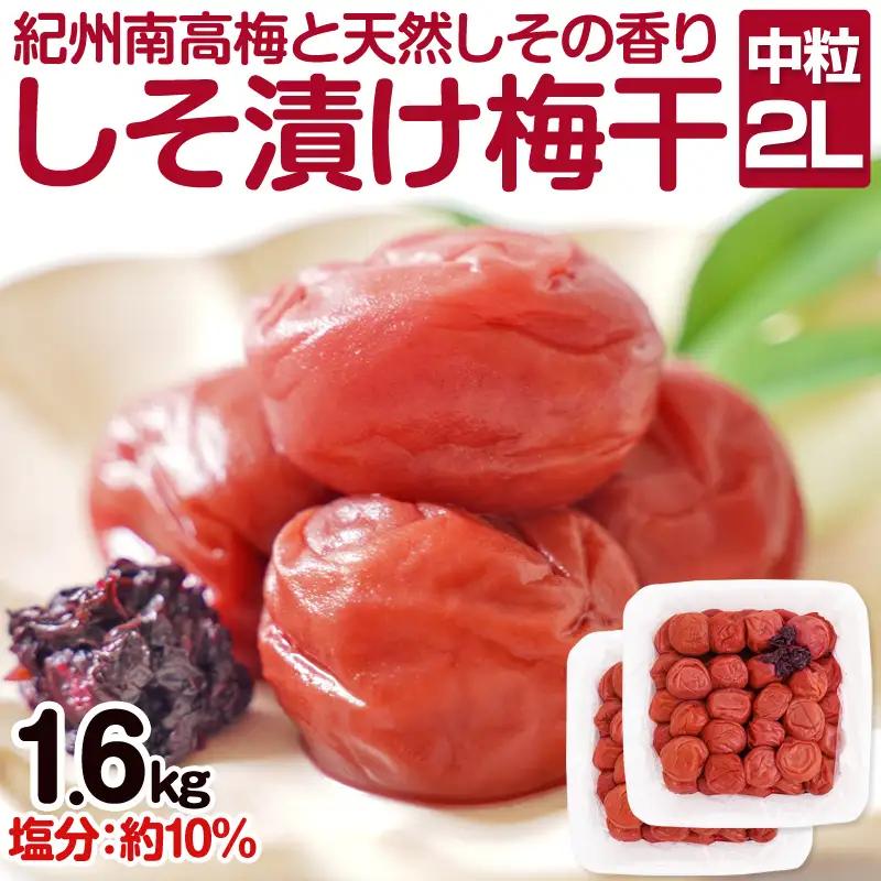 【1126-2】しそ漬け梅干し（紀州南高梅）1.6kg 中粒 2L 和歌山県産