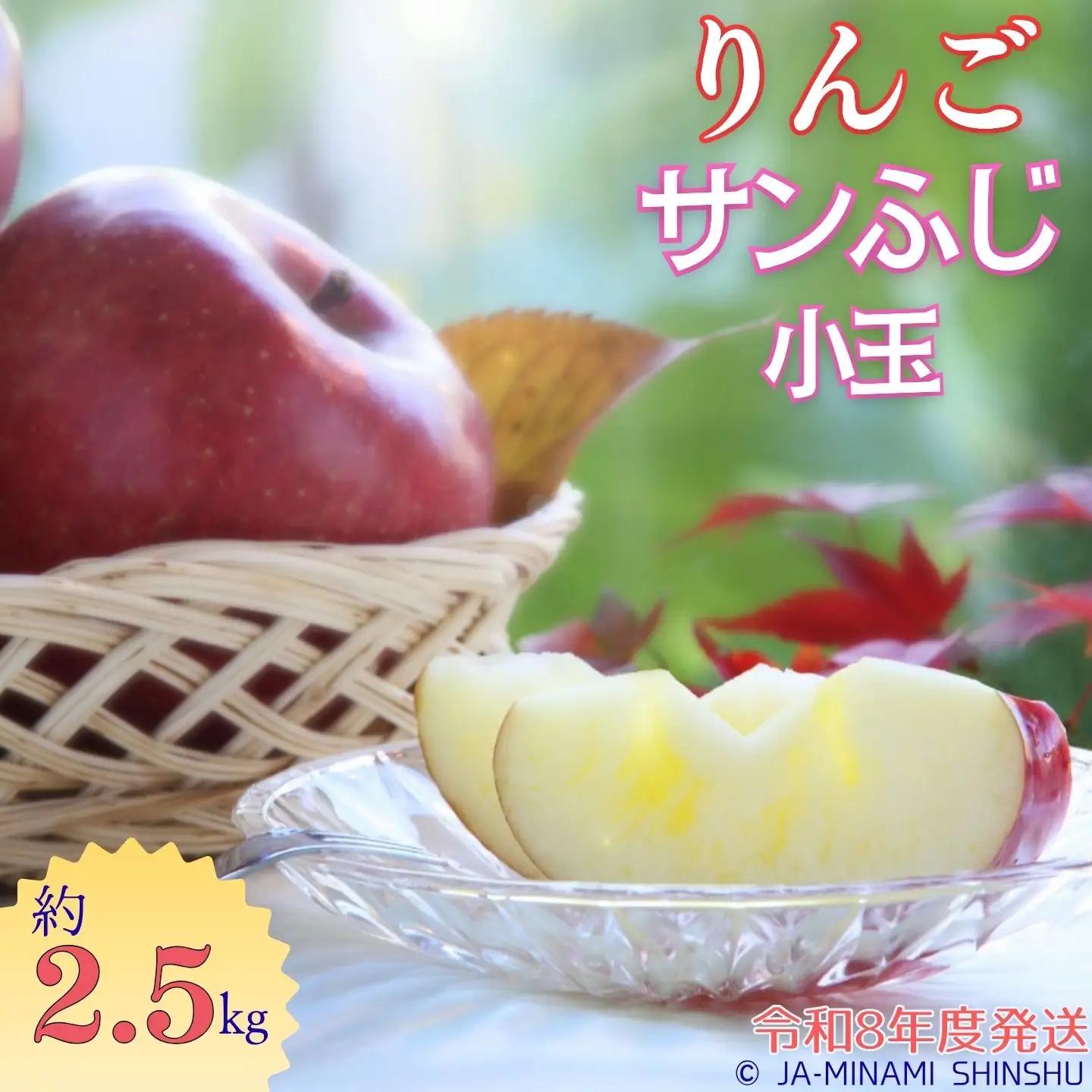 J13　【令和8年度発送】サンふじ（小玉）約2.5kg