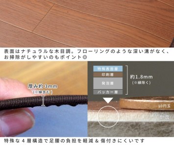 日本製 撥水・消臭・抗菌 ダイニングラグ 約180×240cm ダークブラウン 350114411型 [2220]