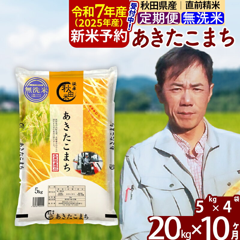 【ふるさと納税】※令和7年産 新米予約※《定期便10ヶ月》秋田県産 あきたこまち 20kg【無洗米】(5kg小分け袋) 2025年産 お届け時期選べる お届け周期調整可能 隔月に調整OK お米 みそらファーム