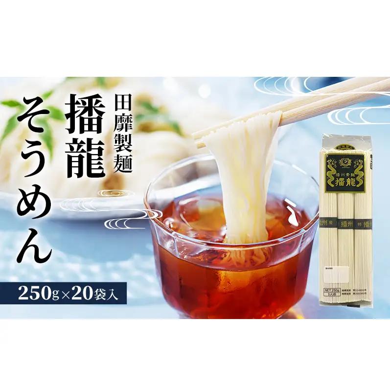そうめん 播龍そうめん 250g×20袋 そうめん