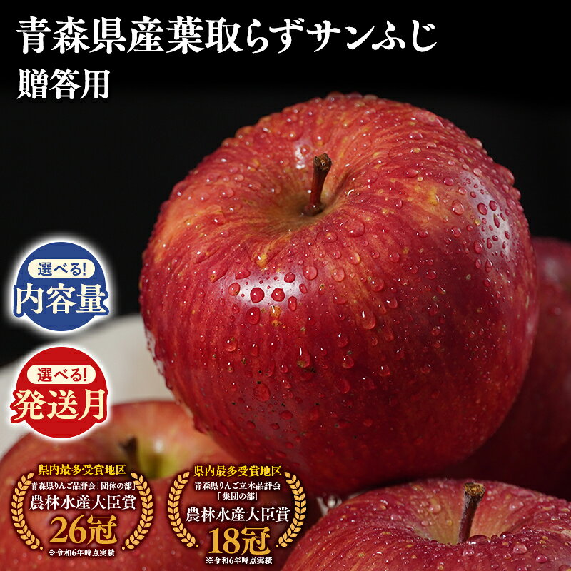 【ふるさと納税】≪内容量と発送月が選べる!≫ 青森県産 贈答用 葉とらずサンふじ 3kg 5kg 10kg【青森県 平川市 そと川りんご園】11月〜4月発送 贈答 青森 青森県産 平川 葉とらず サンふじ ふじ りんご リンゴ 林檎 くだもの 果物 フルーツ