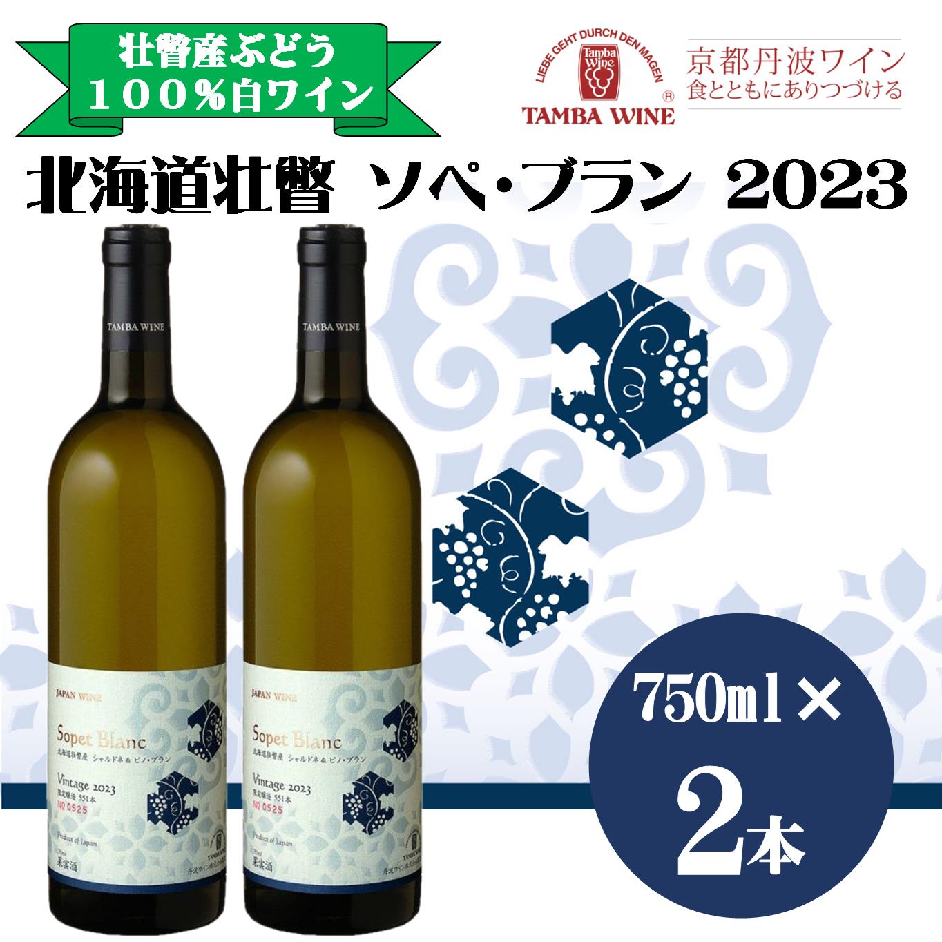 【ふるさと納税】北海道壮瞥産 ソペ・ブラン2023(辛口白ワイン) 750ml×2本 【 ふるさと納税 人気 おすすめ ランキング 北海道 壮瞥 ワイン シャルドネ ピノ・ブラン ぶどう 葡萄 酒 白 辛口 贈り物 贈物 贈答 ギフト 詰合せ セット 北海道 壮瞥町 送料無料 】 SBTA084