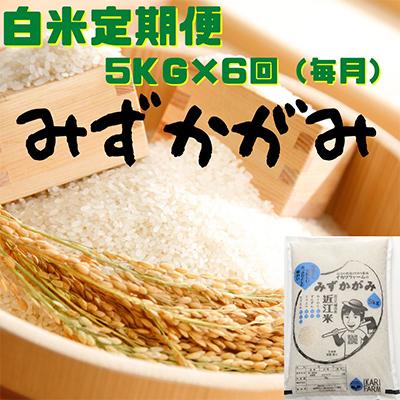 ふるさと納税 近江八幡市 【毎月定期便】みずかがみ　白米　5kg　全6回