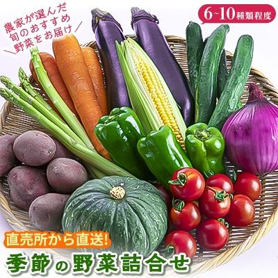 ふるさと納税 松浦市 直売所から直送!季節の野菜詰合せ