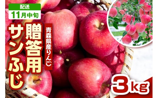 【2026年11月中旬発送】 りんご 青森 サンふじ 3kg 程度 《 贈答用 》 農家直送 サンフジ 青森県 五所川原市 贈答 プレゼント 贈り物 林檎 リンゴ apple