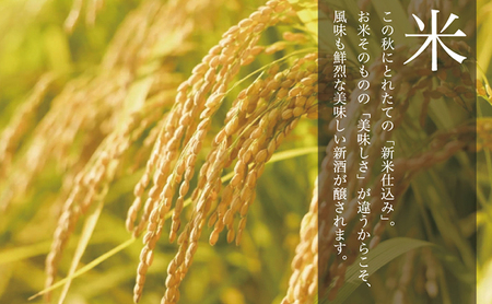 日本酒 しぼりたて 純米大吟醸 新酒 生原酒 720ml×2本 セット あさ開 お酒 酒 晩酌 純米 純米酒 大吟醸 吟醸酒 本数限定 期間限定 令和6年新米仕込み 冷蔵 冷蔵配送 岩手 岩手県 盛岡