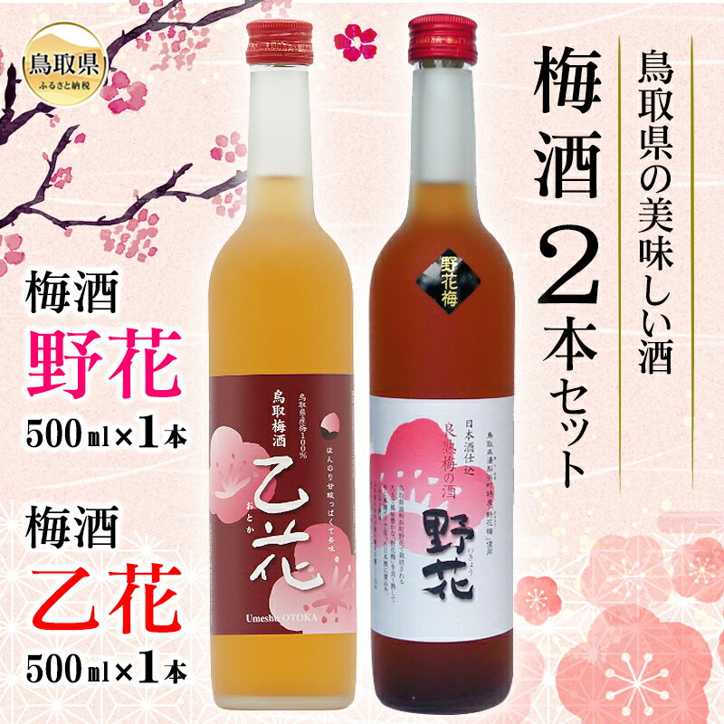 【ふるさと納税】A24-050 鳥取県の美味しい酒　梅酒　2本セットB