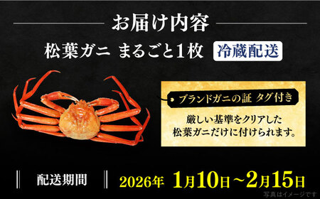 【期間限定・先行予約】冬の味覚の代表格！松葉ガニ 1枚 島根県松江市/フジキコーポレーション株式会社[ALDS017] 松葉ガニ カニ