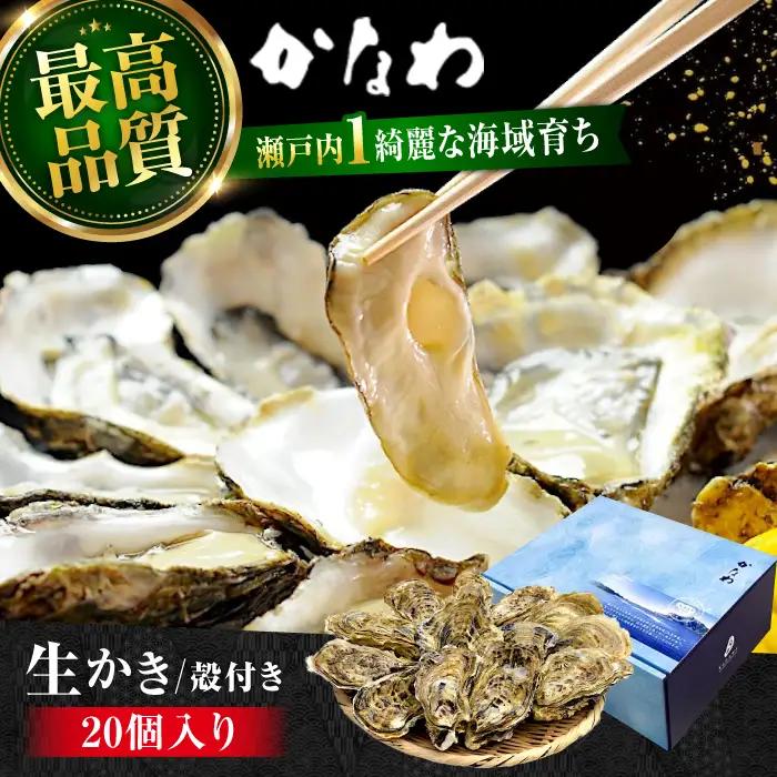 生牡蠣殻付き20個 牡蠣[XBP008]