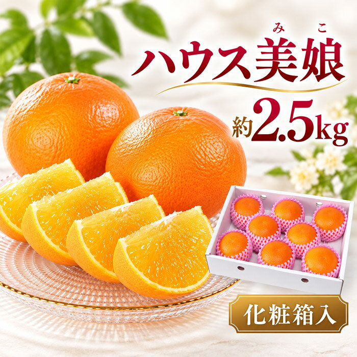 【ふるさと納税】 ハウス美娘 約2.5kg（化粧箱入）／ 美娘 オレンジ ミカン 柑橘 2.5kg フルーツ 先行予約 お歳暮 送料無料 大分県 杵築市 ＜132-002＞
