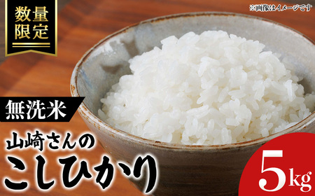 ＜令和7年産・数量限定＞山崎さんのこしひかり(無洗米・5kg) 鳥取県 米 白米 コメ こめ お米 おこめ ごはん ご飯 5キロ 10キロ 【sm-EF003-C05】【やまのおかげ屋】