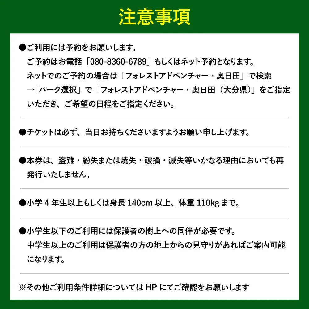 アドベンチャーコース体験チケット2名様 日田市 体験 [ARCI002]