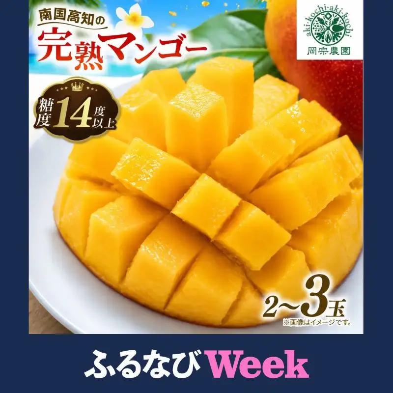 【ふるなびWEEK対象】マンゴー【数量限定】【2026年発送】 完熟マンゴー 2～3玉