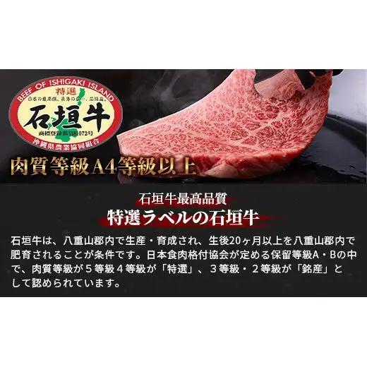 石垣牛ステーキ200g×3枚＋焼肉400gセット（いしなぎ屋）AB-9