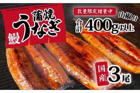 【 訳アリ 】【レビューキャンペーン】【数量限定増量中】 国産うなぎ 蒲焼き 3尾 セット ( 400g ) 大きさ の不揃い 山椒付き ウナギ 鰻 ふぞろい 不揃い うな重 ひつまぶし 人気 茨城 八千代町 ふるさと納税 冷凍 [SF142ya]