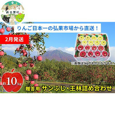 【ふるさと納税】【2月発送】贈答用 サンふじ・王林詰め合わせ 約10kg【青森りんご】 果物 果実 フルーツ 新鮮 美味しい 自然環境 赤い 黄色い 太陽 ジューシー 芳香 セット 贈り物 ギフト 　お届け：2026年2月1日～2026年2月27日