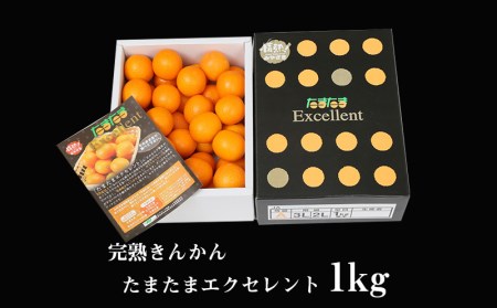 《2025年発送先行予約》【期間・数量限定】完熟きんかん たまたまエクセレント 1kg きんかん フルーツ 数量限定