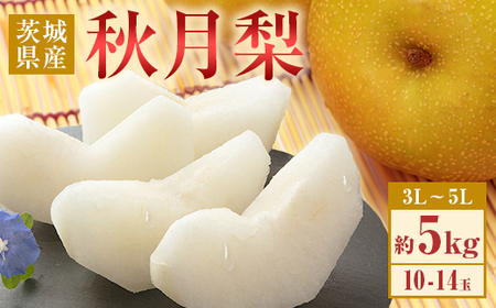 352 秋月梨 約5kg 10～14玉 3L～5L 梨 なし あきづき 【先行予約 2025年 9月中旬ころより順次発送予定】