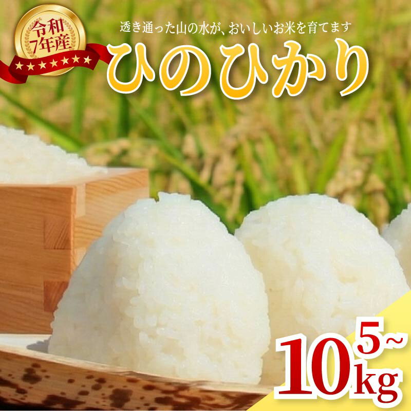 【ふるさと納税】 米 ヒノヒカリ 5～10kg 令和7年産 白米 特別栽培米 数量限定 ご飯 白ご飯 お米 ひのひかり 2025年産 奈良県 奈良市 ライス kome ゆうちゃんファーム