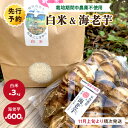 【ふるさと納税】京都・京丹後産／【先行予約】京都伝統野菜　海老芋（栽培期間中農薬・化学肥料不使用）＆丹後米こしひかり（特別栽培米）お野菜 野菜 芋 いも 海老芋 600g お米 米 コシヒカリ 高級 丹後米 えびいも えび芋 おせち料理 お節料理 お正月料理 京料理 さといも