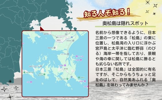 奥松島 嵯峨渓 貸切 クルーズ 1～10名様 日本三大渓 絶景 サンセットクルーズ 乗船券 観光船 宮城県 東松島市