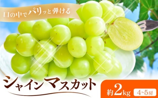 【2026年先行予約】シャインマスカット 約2kg(4-5房) Kazu Farm《2026年9月上旬-10月中旬頃出荷》 岡山県 浅口市 岡山県産 ぶどう フルーツ 果物 くだもの 送料無料