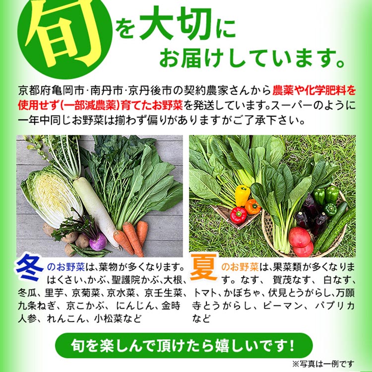 【12回定期便】野菜詰め合わせ ＆ 卵 10個 有機野菜・京野菜の『京都やおよし』｜野菜 玉子 たまご 京都産 オーガニック 有機JAS 農薬不使用 減農薬 定期便 野菜セット※北海道・沖縄・離島への