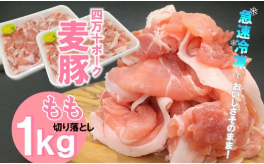 平野協同畜産の「麦豚」 豚もも切り落とし　1㎏（500g×2パック）　四万十ポーク Ahc-A06 国産 ぶた肉 豚肉 肉 お肉 もも 国産豚肉 国産ぶた肉 冷凍 小分け　生姜焼き 豚丼