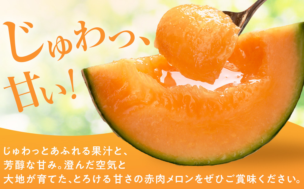 【先行予約】秀品 北海道産赤肉メロン約1.6kg×2玉 (2026年7月中旬から発送開始予定) _05926