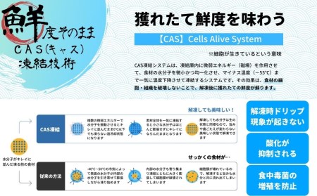 【全国ご当地どんぶりTOP10！】寒シマメ肝醤油漬け80g×5個＜天然醸造醤油使用＞