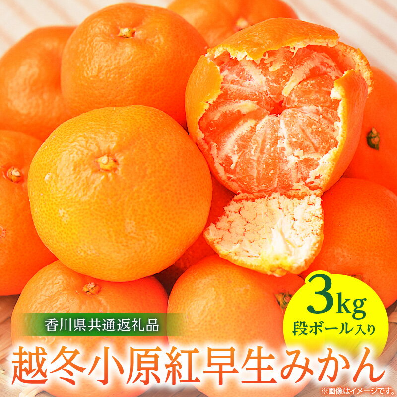 【ふるさと納税】【先行予約】越冬小原紅早生みかん　3kg【香川県共通返礼品】 みかん フルーツ 果物 果実 小原紅早生 デザート 贈答 贈り物 柑橘 柑橘系 グルメ 人気 ふるさと ギフト お裾分け おすすめ 旬 旬のみかん 季節 季節のみかん 柑橘果物 果汁 香川県 三木町