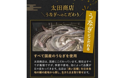国産うなぎ蒲焼（２本）タレ付き /  和歌山 田辺市 国産 国産うなぎ 国産鰻 うなぎ 鰻 鰻丼 うな丼 土用の丑の日【ots016】